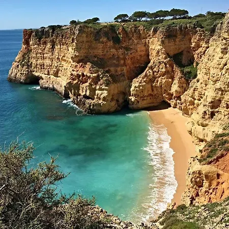 Hébergement de vacances Casa Bambu