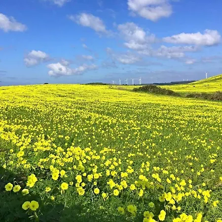 Dom wakacyjny Casa Bambu